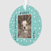 Photo de Chien Chien Chien Chien Chien De Noël (devant)