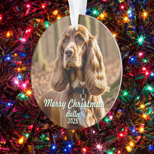 Photo de chien Cocker Spaniel Personnaliser