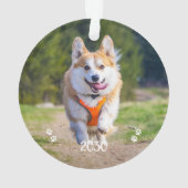 Photo de chien de compagnie moderne simple et pers (dos)