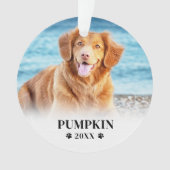Photo de chien de Noël avec accessoires (devant)