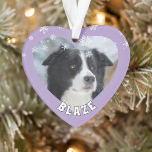 Photo de chien de Noël personnalisé Border Collie