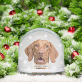 Photo de Chien de Vizsla personnalisée (Noël)