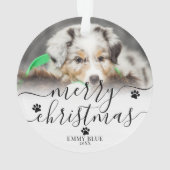 Photo de chien drôle de Noël (dos)