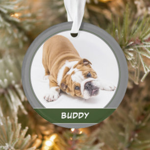 Photo de chien mignon moderne de Noël