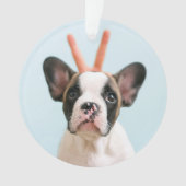 Photo de chien moderne | Joyeux Noël (devant)