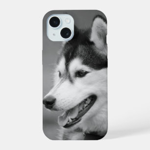 Photo de chien noir et blanc Personnalisable