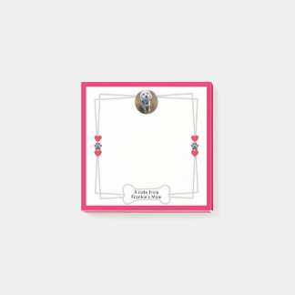 Photo de chien Notes post-it avec pattes et coeurs