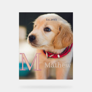 photo de chien personnalisé année nom monogramme c
