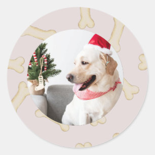 Photo de chien personnalisée avec Stickers de cadr