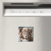 Photo de chien personnalisée et son nom Magnet (In Situ (Lave-vaisselle))
