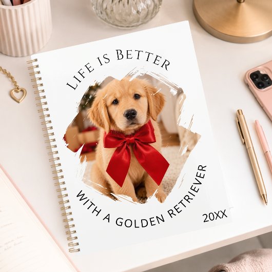 photo de chien Retriever doré