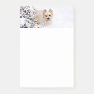 Photo de chien Snow Westie Papeterie 4x6 Post-it N