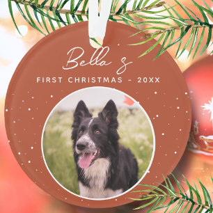 Photo de chiot Border Collie pour son premier Noël