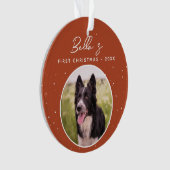 Photo de chiot Border Collie pour son premier Noël (devant)