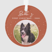 Photo de chiot Border Collie pour son premier Noël (dos)