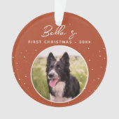 Photo de chiot Border Collie pour son premier Noël (devant)