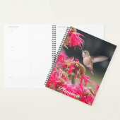 Photo de colibri en vol (Devant avec enveloppe)