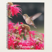 Photo de colibri en vol (Devant)