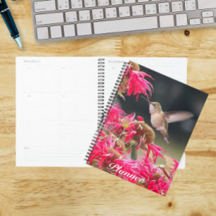 Photo de colibri en vol