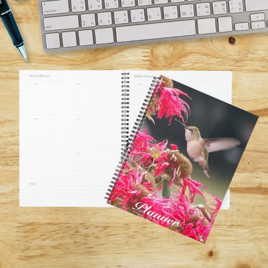 Photo de colibri en vol