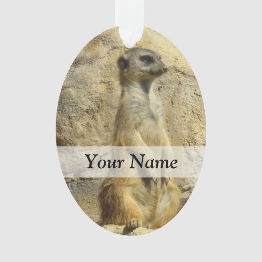 Photo de Cute meerkat (devant)