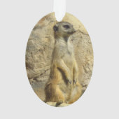 Photo de Cute meerkat (dos)