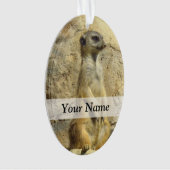 Photo de Cute meerkat (devant)