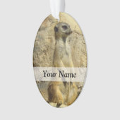 Photo de Cute meerkat (devant)