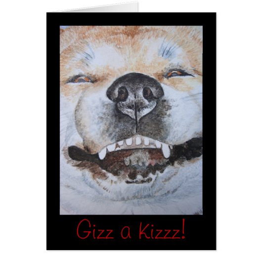 photo de drôle mignon chien souriant akita (Devant)