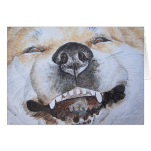 photo de drôle mignon chien souriant akita