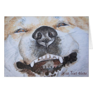 photo de drôle mignon chien souriant akita