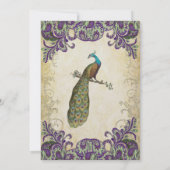 Photo de famille Purple & Green Peacock Carte de N (Dos)