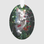 Photo de famille souvenir de chat (dos)