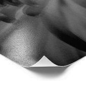 Photo de Fleur noire et blanche (Coin)