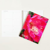 Photo de fleur rose tropicale (Devant avec enveloppe)