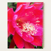 Photo de fleur rose tropicale (Dos)