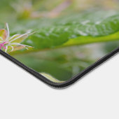 Photo de fleur sauvage de géranium pourpre avec no (Coin)