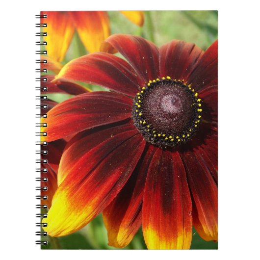 Photo de fleurs jaune marron cahier (Devant)