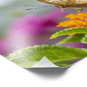 Photo de gros plan Papillon et Fleur (Coin)