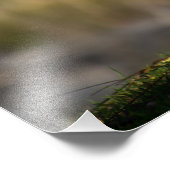 Photo de haute qualité Impression d'oies par riviè (Coin)