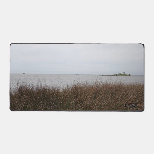 Photo de Juncus rigens menaçant sur la plage du go (Recto)