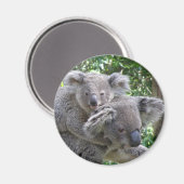 Photo de koala et bébé Australie sur aimant (Recto/Verso)