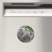 Photo de koala et bébé Australie sur aimant (In Situ (Lave-vaisselle))