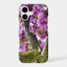 Photo de la Couronne de l'arbre en fleurs roses d'