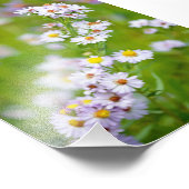 Photo de la ligne de beauté (Coin)