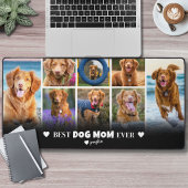 Photo de la maman du chien