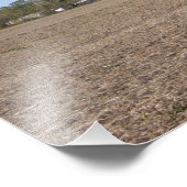 Photo de la mère Poème (Coin)