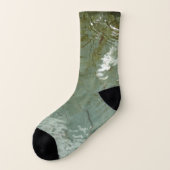 Photo de la nature de dalles rocheuses couvertes d (Gauche - extérieur)