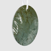 Photo de la nature de dalles rocheuses couvertes d (devant)