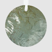 Photo de la nature de dalles rocheuses couvertes d (dos)